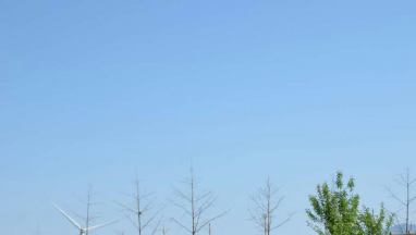 蜜柚AV观看国际家居:把爱与温暖送到智障孩子心中 