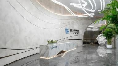 荣获 2023第五届日本IDPA国际先锋蜜柚黄色污创新奖